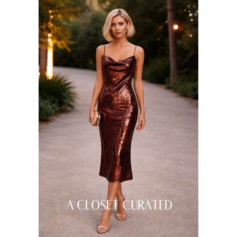 Shona Joy Dress 4 NWT